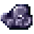 raw octopus
